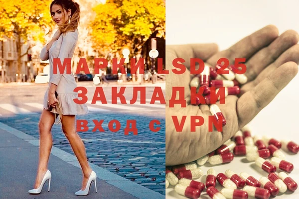 винт Касимов