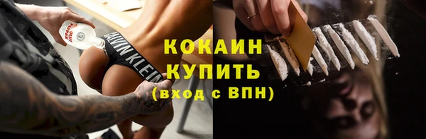 винт Касимов