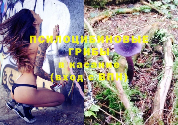 винт Касимов