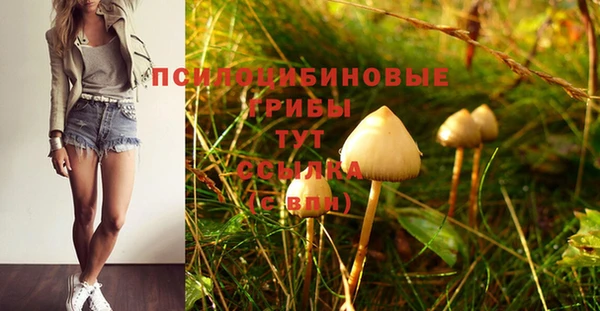 а пвп мука Карталы
