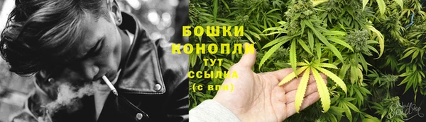 винт Касимов